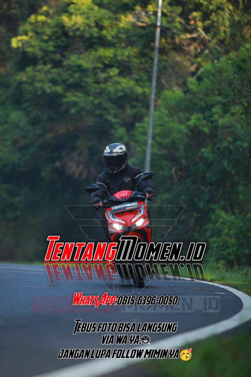 IMG_2390.jpg